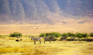 Mt. Hanang, katesh, tanzania